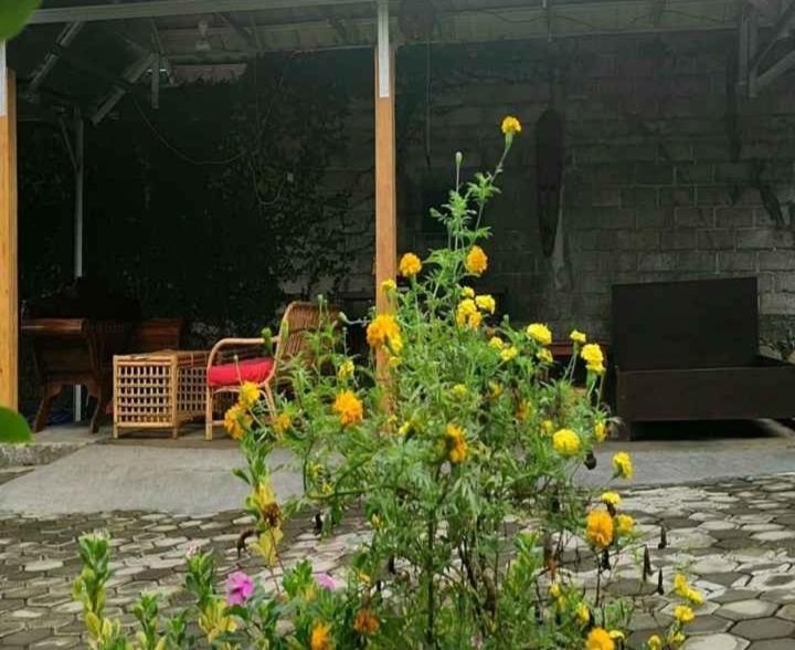 דירות Mangsit Tiffany Garden מראה חיצוני תמונה